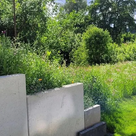 Am Weinberg Kleinaspach *