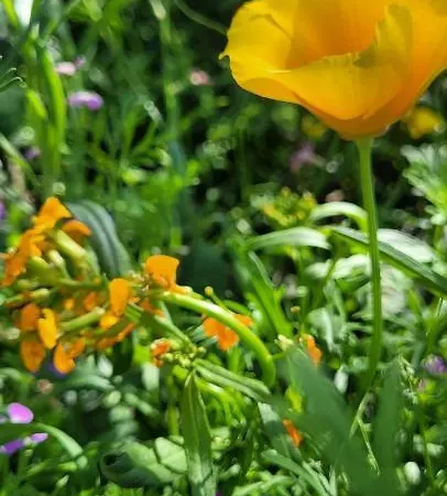 דירה Am Weinberg Kleinaspach