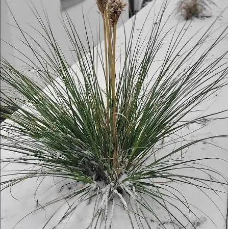 Am Weinberg Kleinaspach